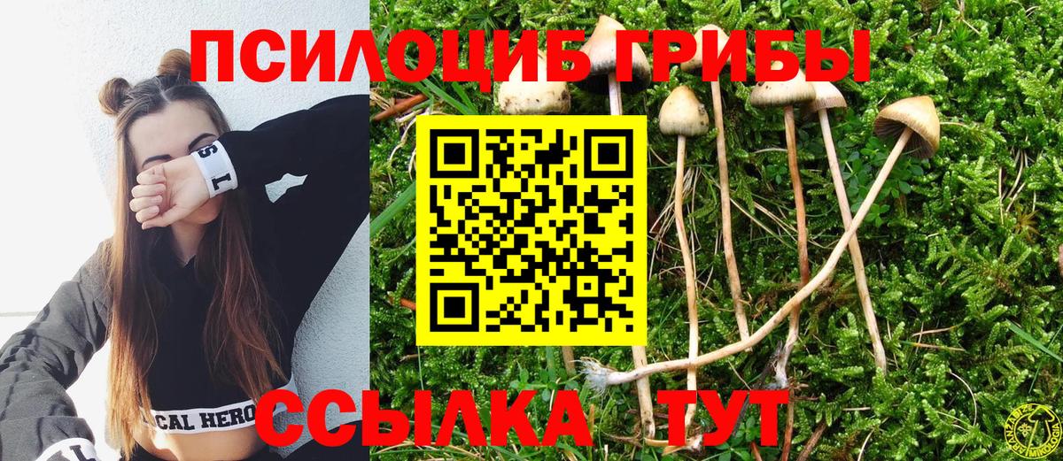 дарнет шоп  Псилоцибиновые грибы Magic Shrooms  Вход с VPN  Галлюциногенные грибы мицелий  Волгодонск 